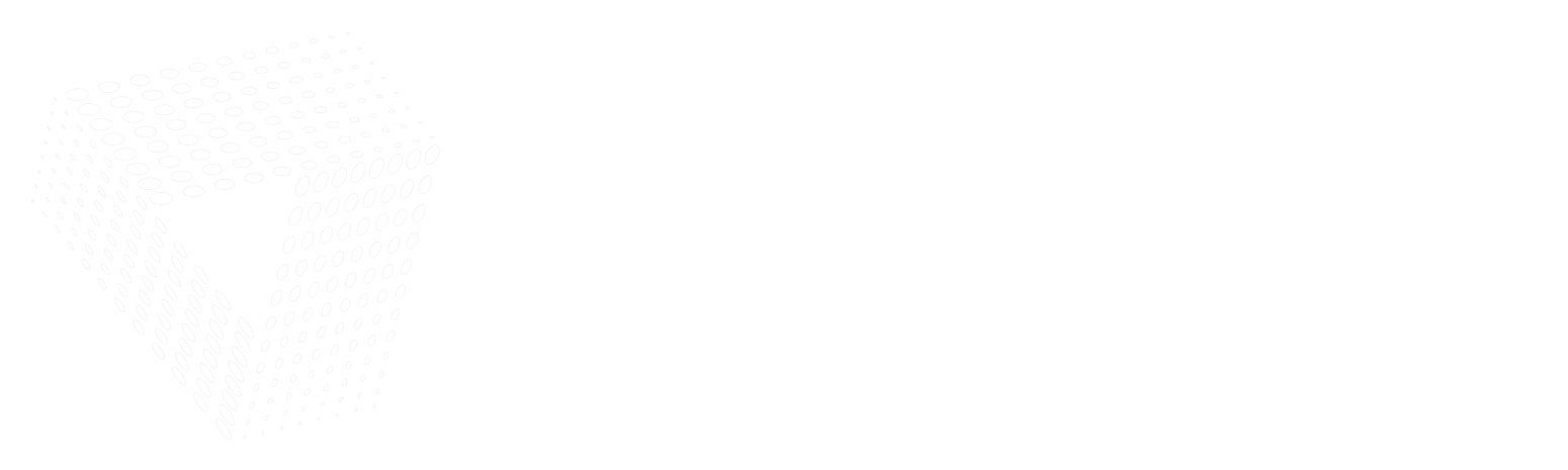 Serverflex Logo Long